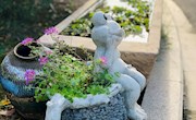春日采香园（教师摄影作品）