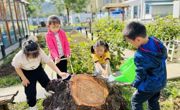 爱在金秋向你诉说...... ——胥口中心幼儿园第九届家长委员会第一次会议