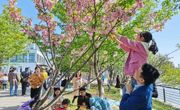 走，春游去！--胥口中心幼儿园大班亲子春游活动